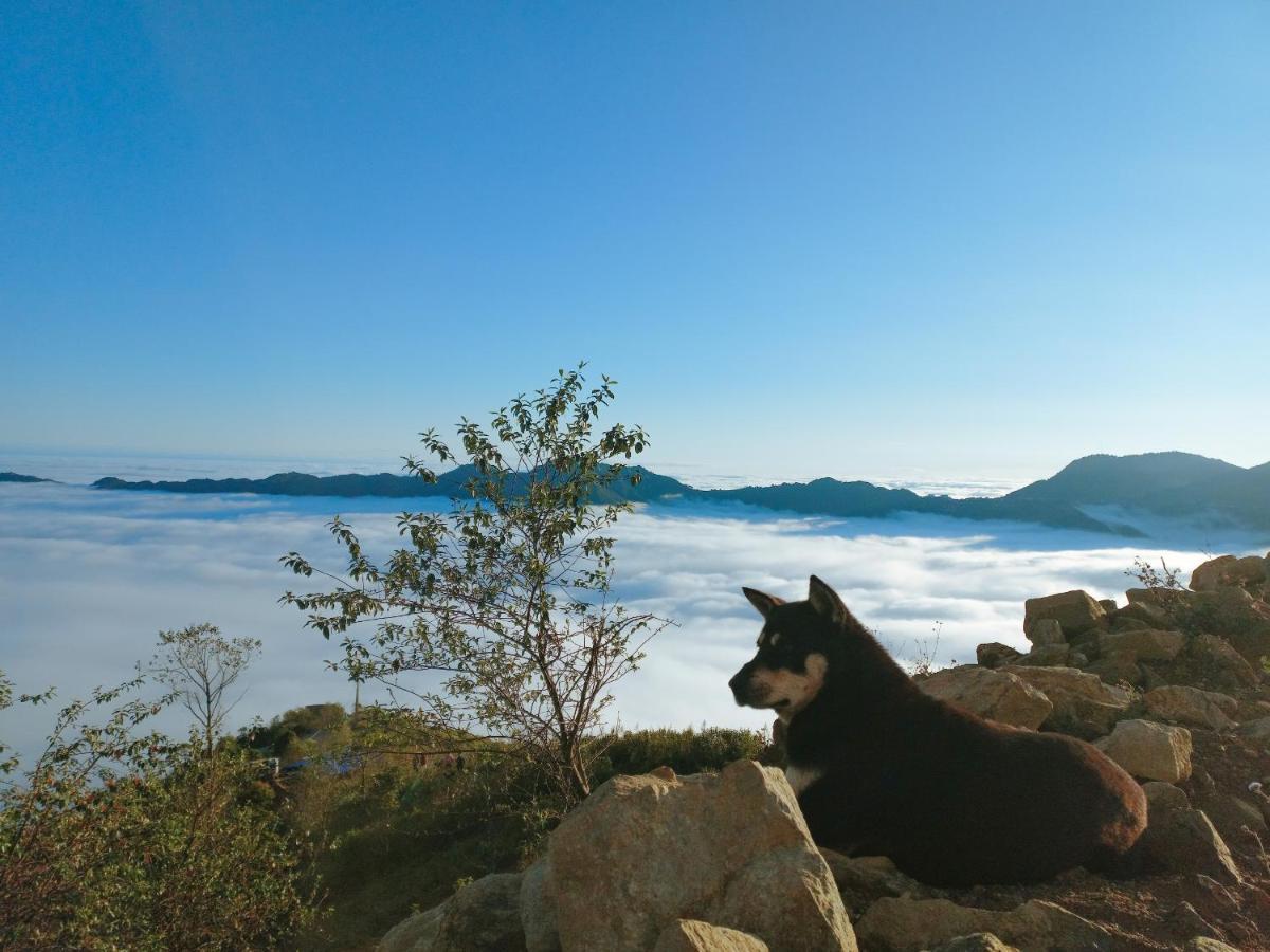 1941M Homestay Ta Xua Bac Yen Екстериор снимка